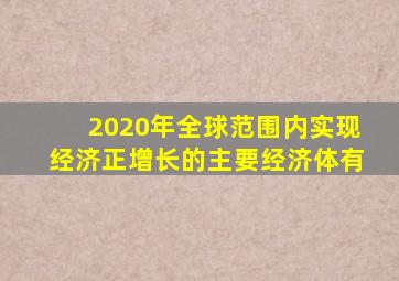 2020年全球范围内实现经济正增长的主要经济体有