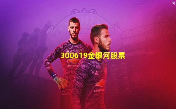 300619金银河股票