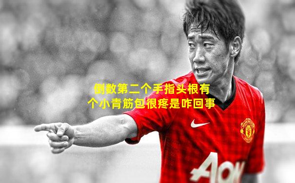 倒数第二个手指头根有个小青筋包很疼是咋回事