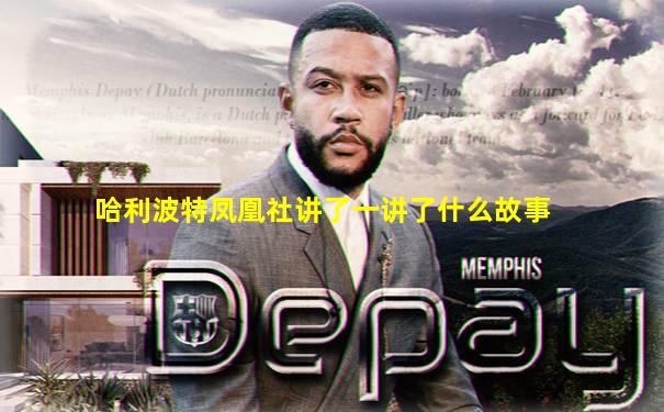哈利波特凤凰社讲了一讲了什么故事