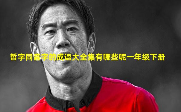 哲字同音字的成语大全集有哪些呢一年级下册