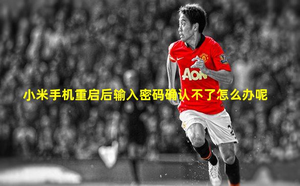 小米手机重启后输入密码确认不了怎么办呢