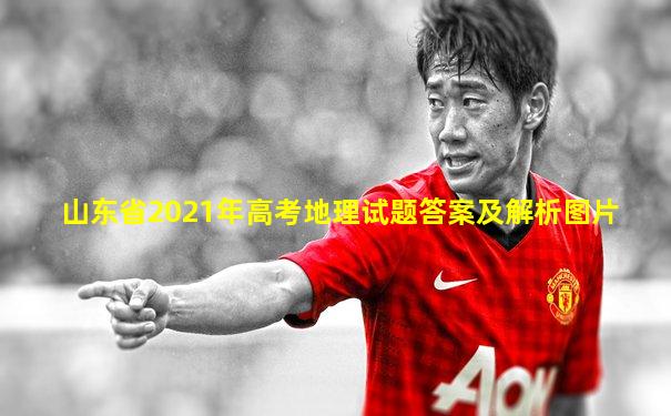 山东省2021年高考地理试题答案及解析图片