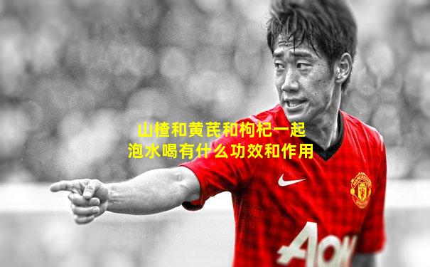 山楂和黄芪和枸杞一起泡水喝有什么功效和作用