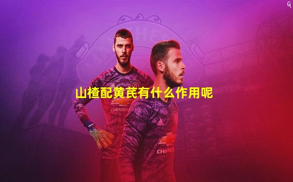 山楂配黄芪有什么作用呢