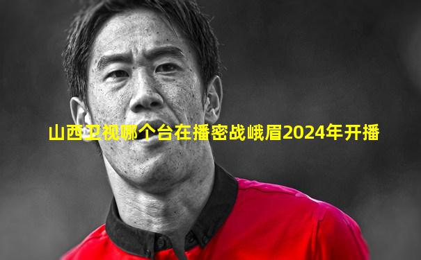 山西卫视哪个台在播密战峨眉2024年开播
