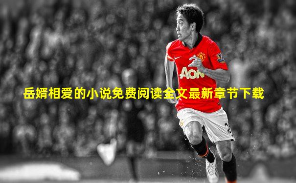 岳婿相爱的小说免费阅读全文最新章节下载