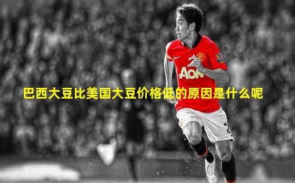 巴西大豆比美国大豆价格低的原因是什么呢