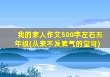 我的家人作文500字左右五年级(从来不发脾气的堂哥)