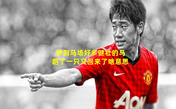 梦到马场好多健壮的马跑了一只又回来了啥意思