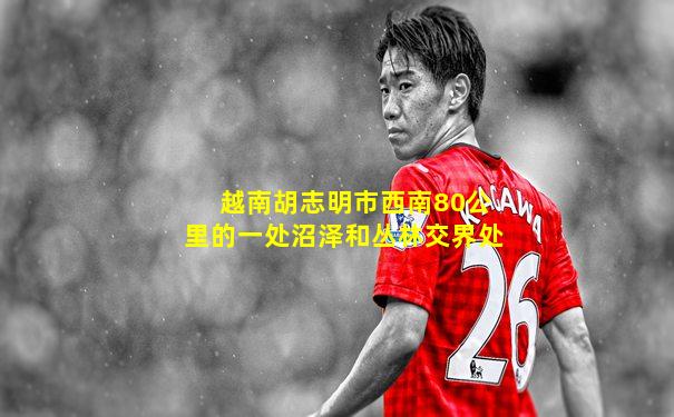 越南胡志明市西南80公里的一处沼泽和丛林交界处
