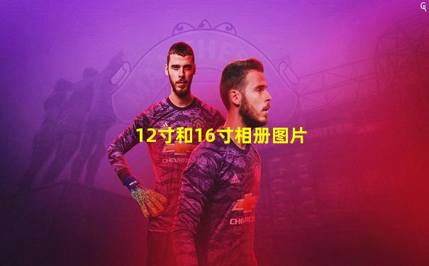 12寸和16寸相册图片