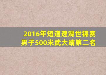 2016年短道速滑世锦赛男子500米武大靖第二名
