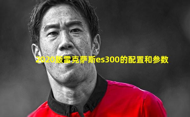 2020版雷克萨斯es300的配置和参数