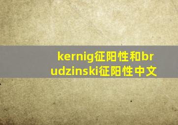 kernig征阳性和brudzinski征阳性中文