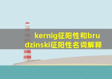 kernig征阳性和brudzinski征阳性名词解释