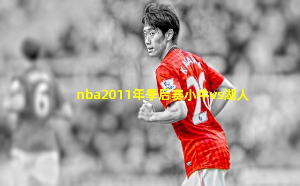 nba2011年季后赛小牛vs湖人
