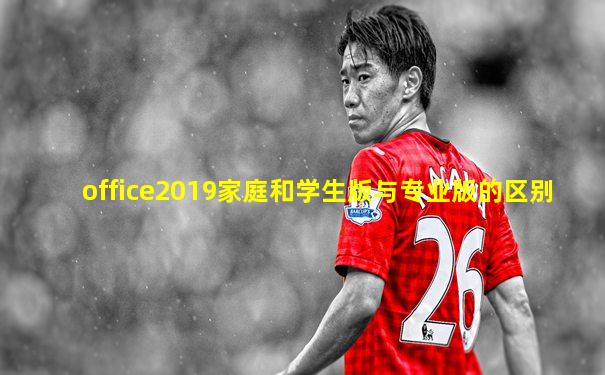 office2019家庭和学生版与专业版的区别