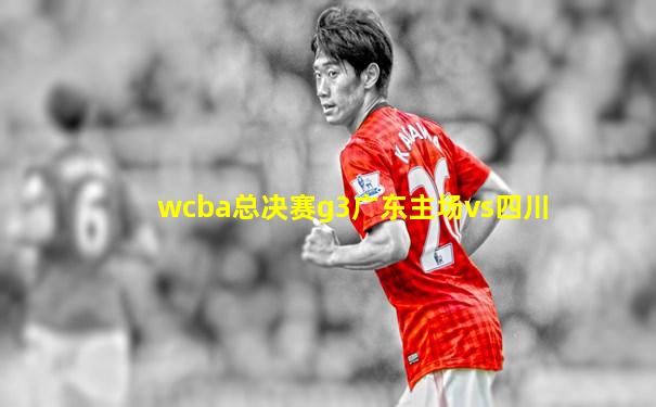 wcba总决赛g3广东主场vs四川