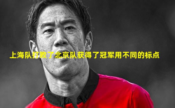 上海队打败了北京队获得了冠军用不同的标点