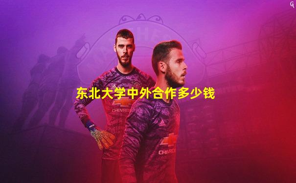 东北大学中外合作多少钱