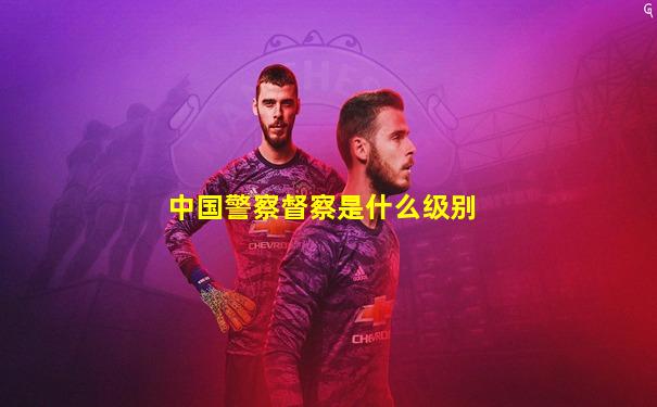 中国警察督察是什么级别