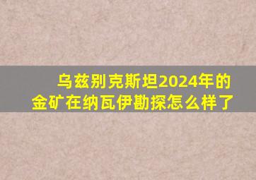 乌兹别克斯坦2024年的金矿在纳瓦伊勘探怎么样了