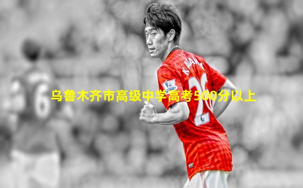 乌鲁木齐市高级中学高考500分以上