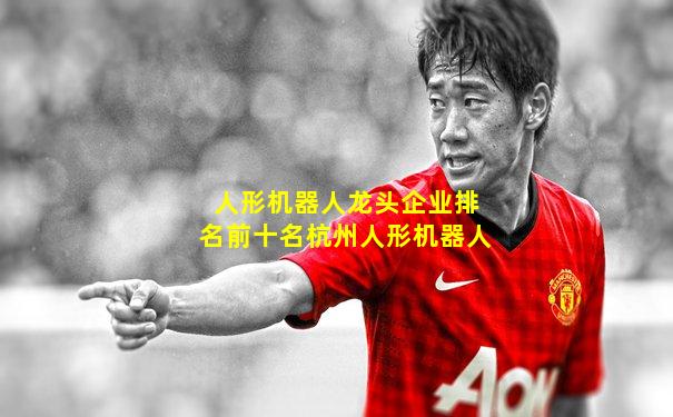 人形机器人龙头企业排名前十名杭州人形机器人