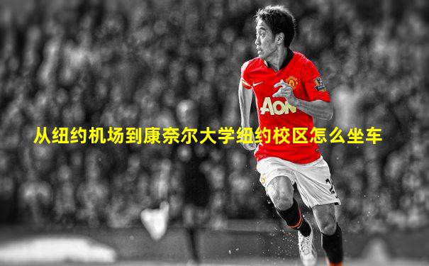 从纽约机场到康奈尔大学纽约校区怎么坐车