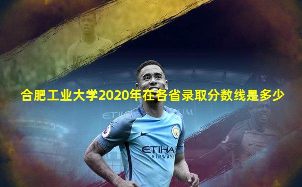 合肥工业大学2020年在各省录取分数线是多少