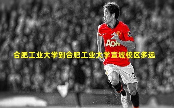 合肥工业大学到合肥工业大学宣城校区多远