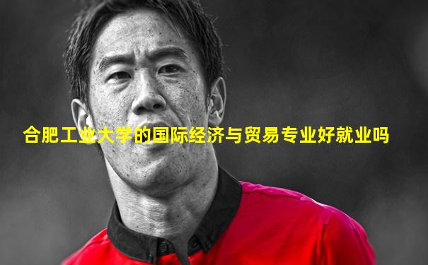 合肥工业大学的国际经济与贸易专业好就业吗