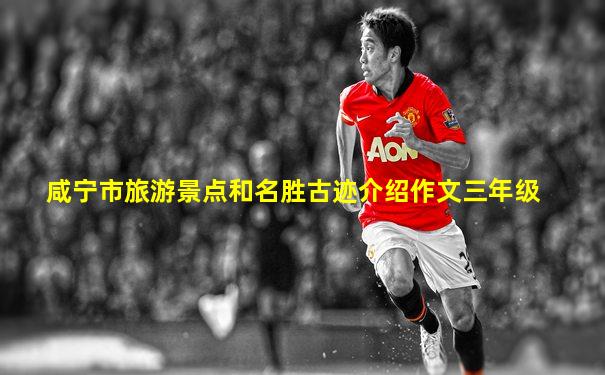 咸宁市旅游景点和名胜古迹介绍作文三年级