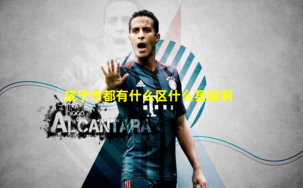 咸宁市都有什么区什么县城啊