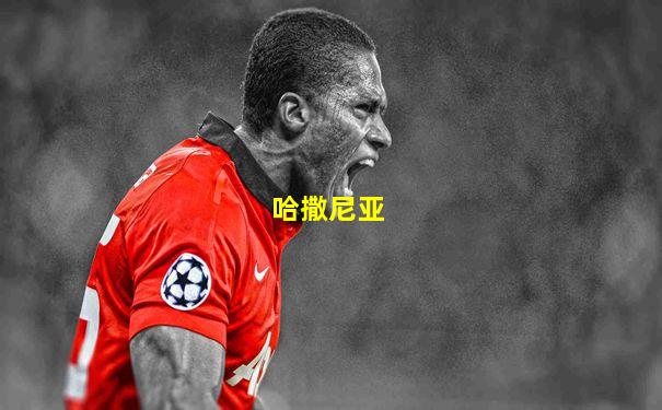 哈撒尼亚