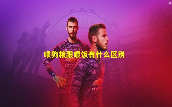 喂狗粮跟喂饭有什么区别