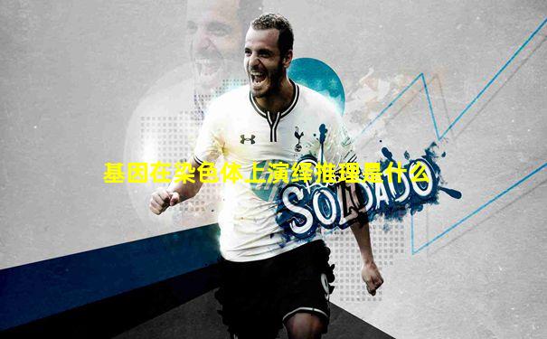 基因在染色体上演绎推理是什么