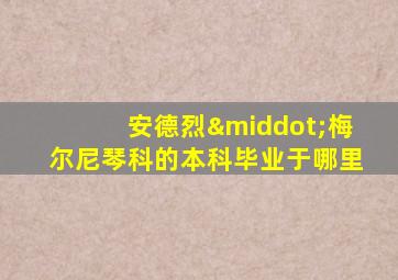 安德烈·梅尔尼琴科的本科毕业于哪里