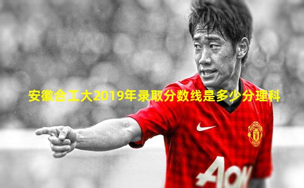 安徽合工大2019年录取分数线是多少分理科