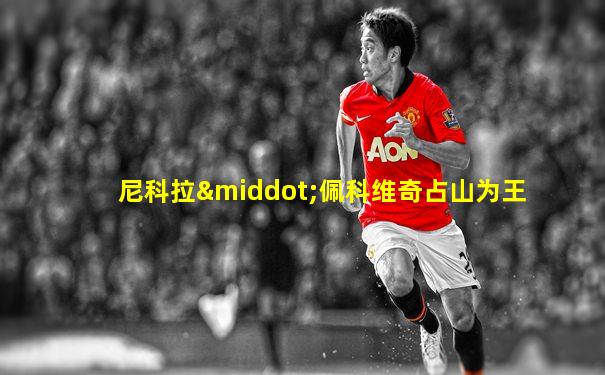 尼科拉·佩科维奇占山为王