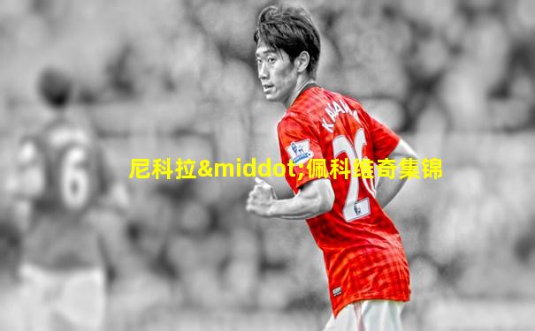 尼科拉·佩科维奇集锦