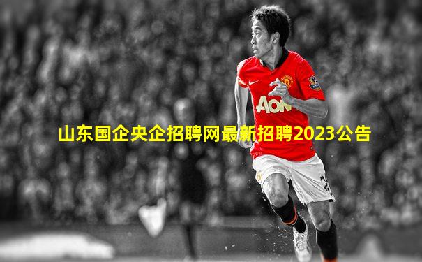 山东国企央企招聘网最新招聘2023公告