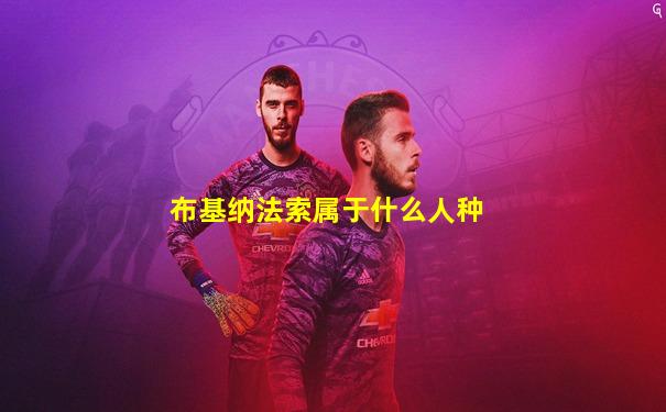 布基纳法索属于什么人种