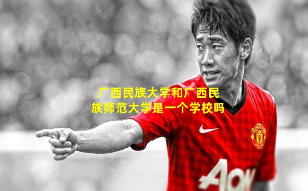 广西民族大学和广西民族师范大学是一个学校吗