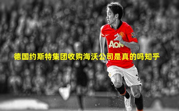 德国约斯特集团收购海沃公司是真的吗知乎