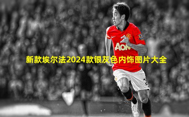 新款埃尔法2024款银灰色内饰图片大全