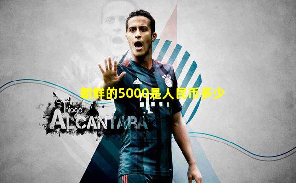 朝鲜的5000是人民币多少
