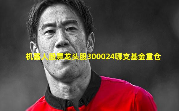 机器人股票龙头股300024哪支基金重仓