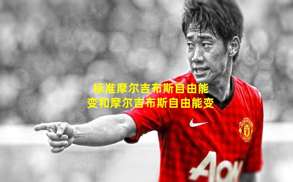 标准摩尔吉布斯自由能变和摩尔吉布斯自由能变